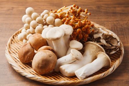 Їстівні гриби: назви, фото та описи